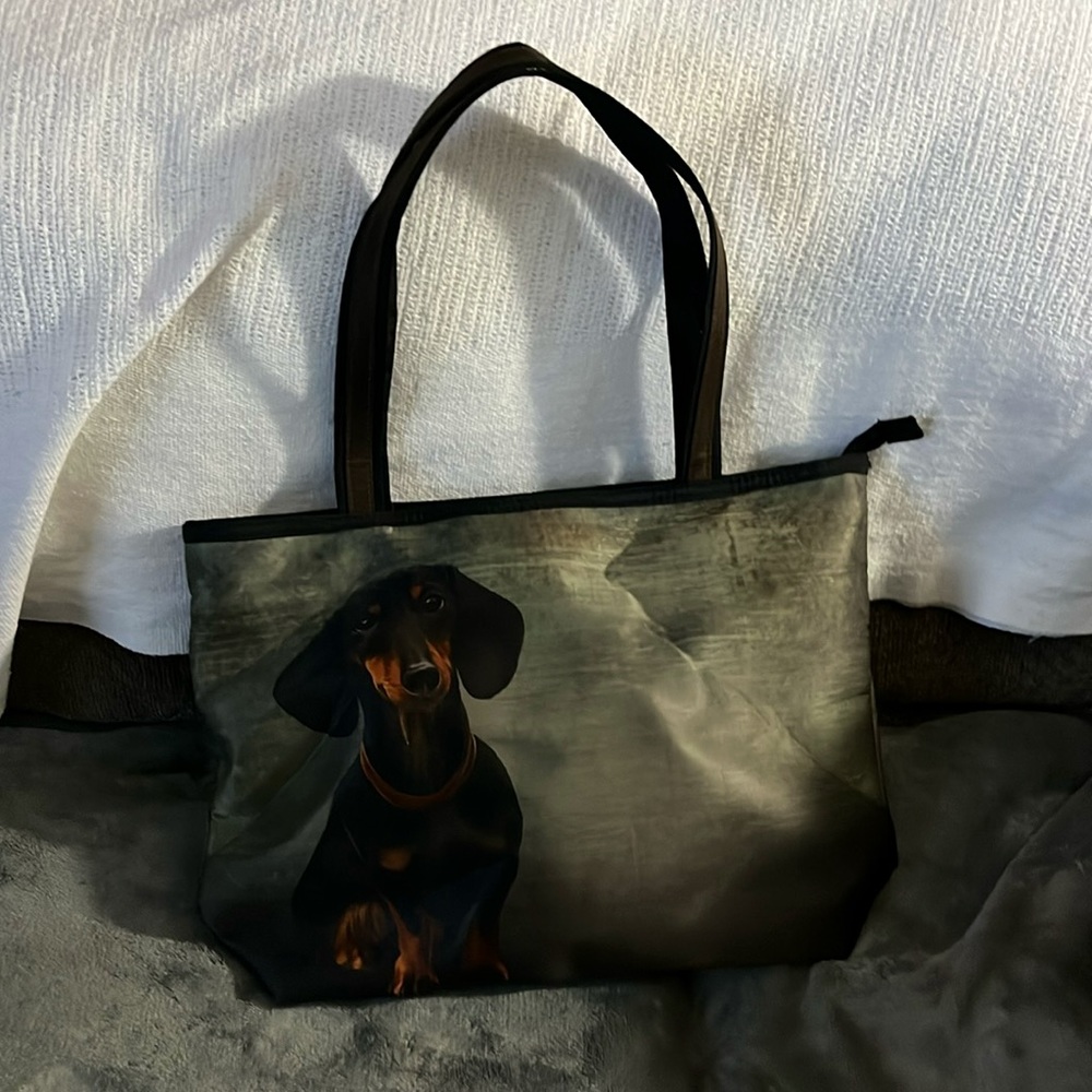 Dachshund on both sides